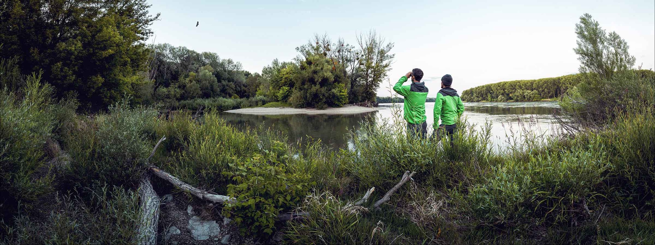 Zwei Nationalpark-Ranger mit Fernglas am Donauufer