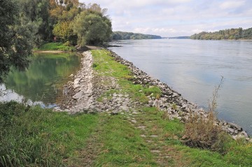 Nationalpark-Donau-Auen-Haslau1.jpg