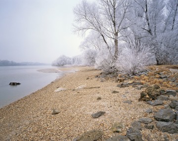 Nationalpark-Donau-Auen-Winterstimmung3,-Popp.jpg