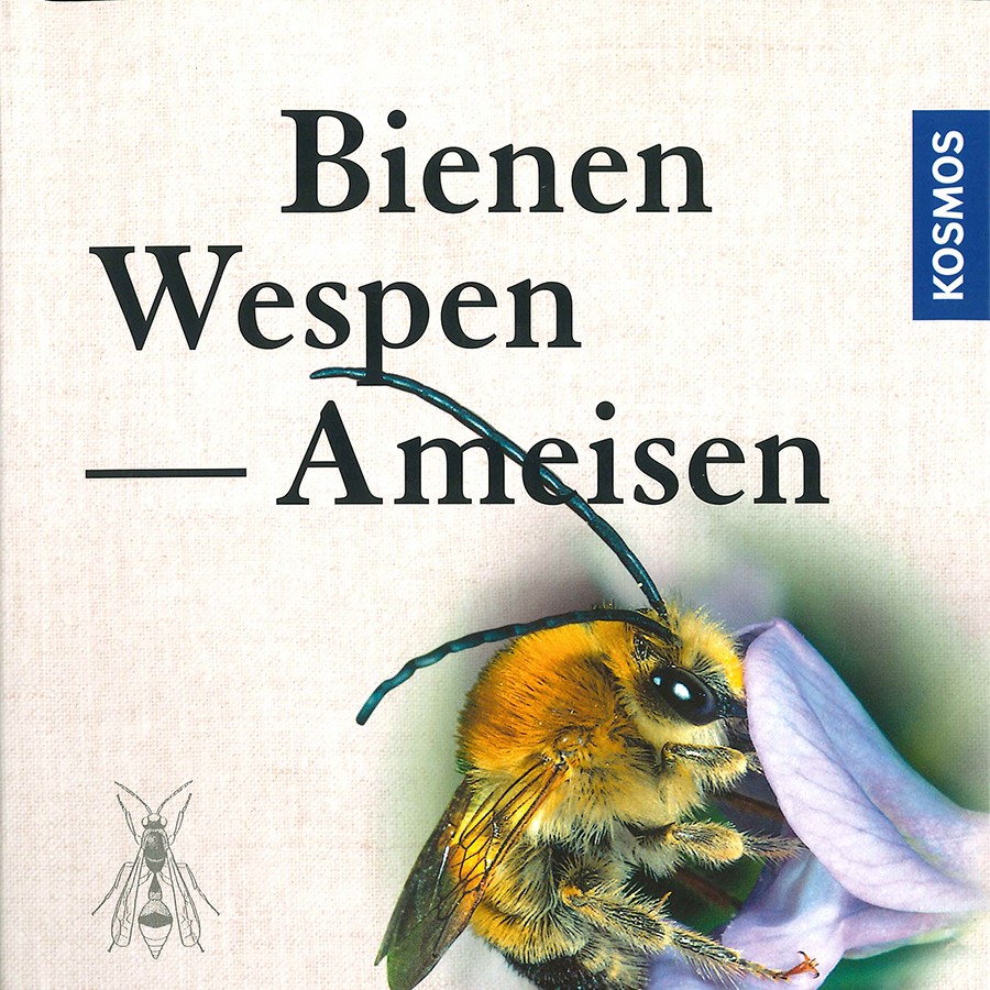 Nationalpark-Donau-Auen-Bienen,-Wespen,-Ameisen_bearbeitet.jpg