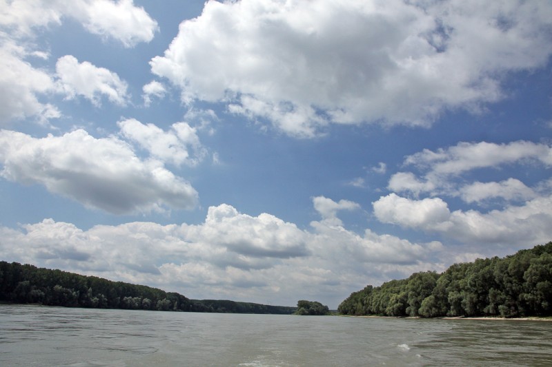Nationalpark-Donau-Auen-Donau-1.jpg