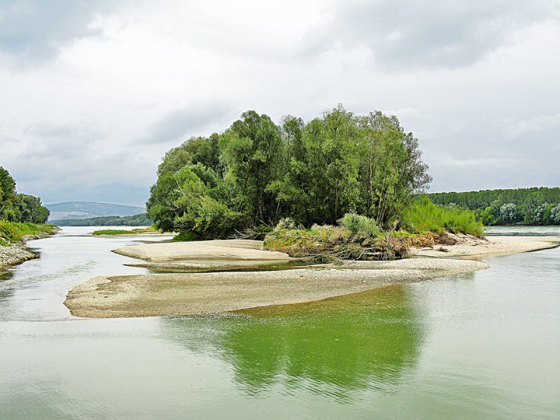 Nationalpark-Donau-Auen-ZDF-6.jpg