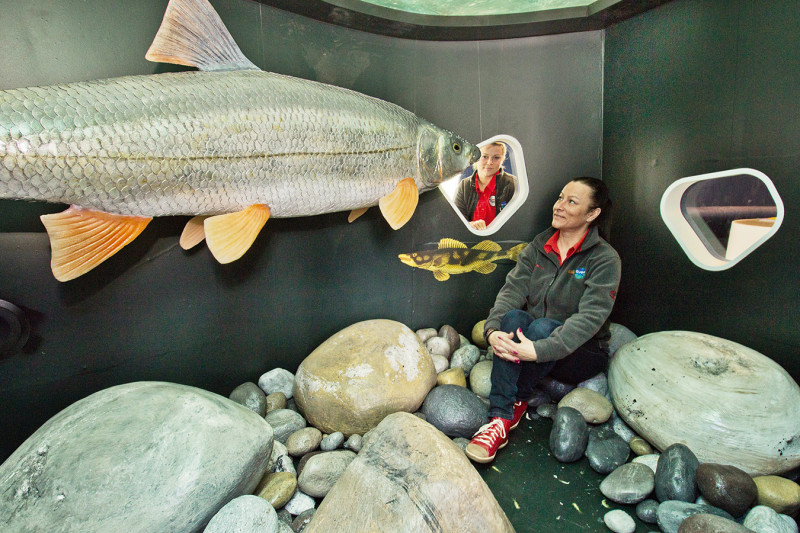 Blick in die Nationalparklounge mit Fischmodell