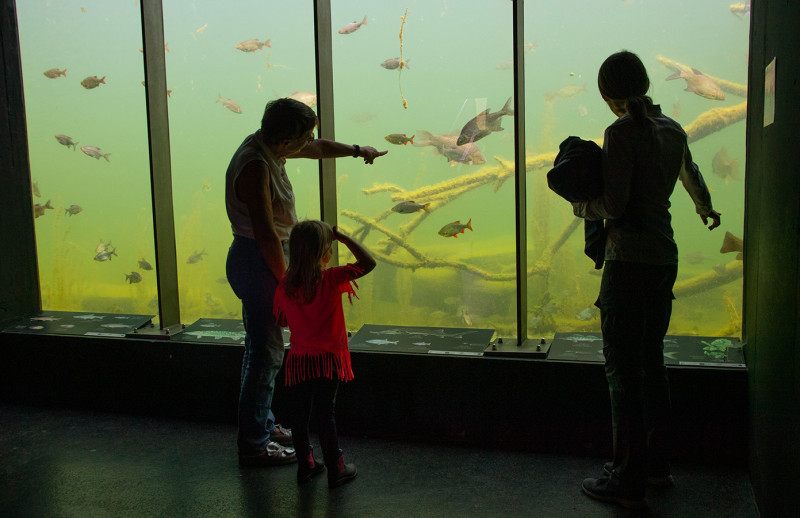 Gäste in der Unterwasserstation betrachten die Fische